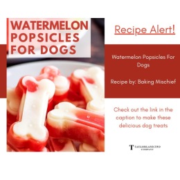 Instagram post from @altiaapartments on July 19, 2024 19:01:09pm